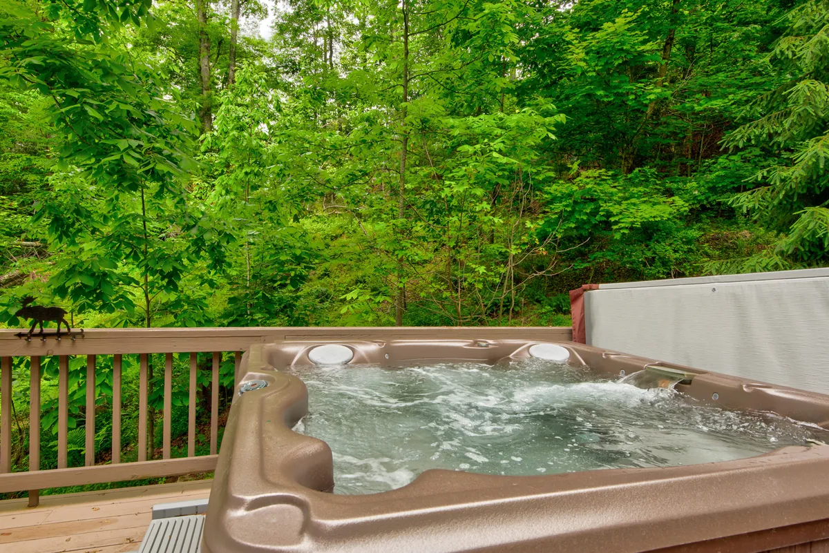 This image highlights the inviting outdoor hot tub set amid lush greenery, with ample space for relaxation and soaking under the stars. The tranquil mood evokes evenings unwinding in nature, perfectly matching the section's emphasis on year-round indulgence and stargazing.