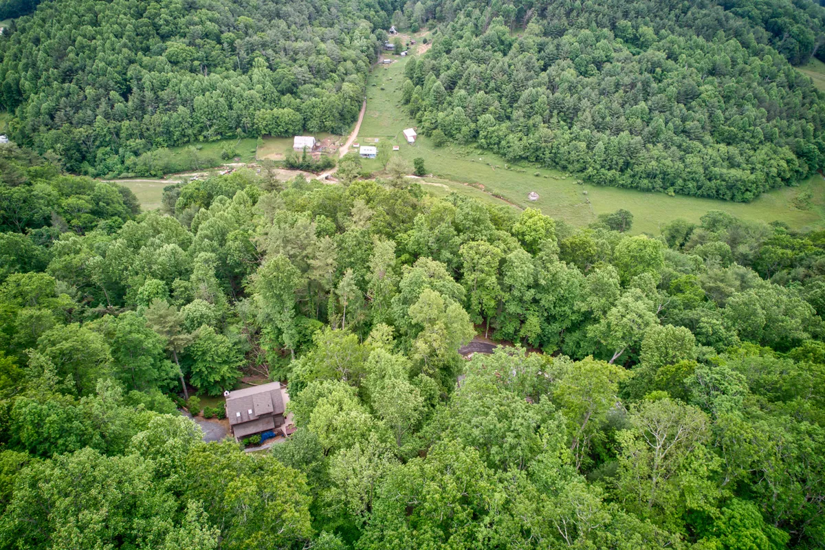 A view of the cabin nestled among trees with cleared land and a winding road, emphasizing seclusion and natural surroundings. The scene evokes a sense of retreat and privacy, suggesting endless opportunity for exploration, nature walks, and unobstructed stargazing on clear nights.
